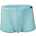 FEESHOW Men's Silky Boxer Briefs Shorts Bugle Pouch Underwear (Blue, Large)