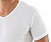 ALBERT KREUZ Men's Shortsleeve V-neck Business Undershirt 100% Pure Organic Cotton