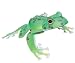 すぐできるカエル モリアオガエル