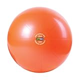 GoFit Ultimate Burst Resistant Core Stability Ball with Workout DVD (55 cm)