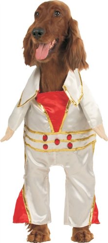 Rock Star Pet Dog Costume