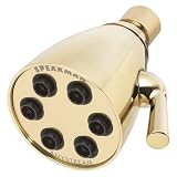 Speakman S-2252-PB Anystream Icon 6-Jet Showerhead in Polished Brass