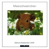 Meerschweinchen Album-Kalender 2009
