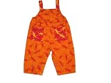 Boys Girls Reversible Twill Overalls with Orange Lizards