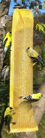 Songbird Essentials SE637 Finch Bird Feeder