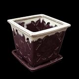 Ceramic Orchid Pot - 5 inch - Purple Square Vanilla Accent