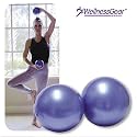 Weighted Balls by WellnessGear (1-Pair)
