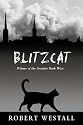 Blitzcat (PB)