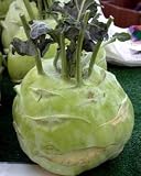 Worlds Largest Kohlrabi 20 Seeds 60+lb