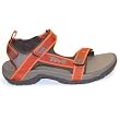 Tanza 4141 Teva