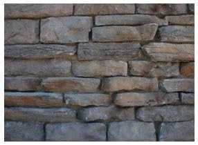 Advanced Q Rock Grill Rock Finish: Prairie Bark, Tile Type: Cliff Pointe Rock, Fuel Type: Liquid Propane