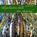 Glasperlenketten h�keln - Das Musterbuch