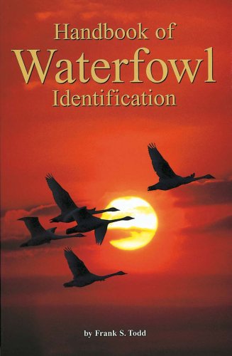 Waterfowl