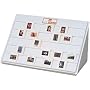 Logan Electric E-Z View Slide Sorter Lightbox