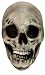 Skull Nylon Full Mask