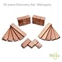 Tegu Discovery Set - Mahogany - Magnetic Wooden Building Blocks