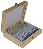 TSMDPO - 25 prepared slides in wooden box - Various, for microskope, TSMDPO