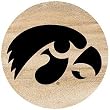 Thirstystone Natural Sandstone Set of 4 Coasters University of Iowa