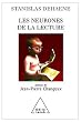 Les neurones de la lecture