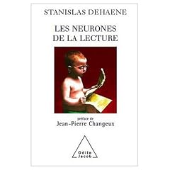 Les neurones de la lecture