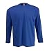 Fruit of the Loom long sleeve plain t-shirt Royal blue Large