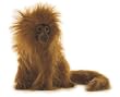 GOLDEN LION TAMARIN PLUSH TOY 12" H