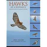 HawksataDistance:IdentificationofMigrantRaptors