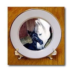 Andalusian Mare and Foal - 8 Inch Porcelain Plate