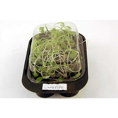 Grow   Herb on Pellets Enough Cilantro Seed For Several Plantings   Complete Growing