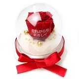メッセージローズ (Preserved Rose) ローズドーム S1~情熱のラブジャック~レッド 【リボン付き】【これからもよろしく】 22217