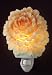 Peony Night Light Ibis & Orchid Flower of Light