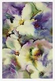 24x36 Orchids Wind Film
