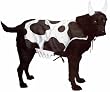 Moo Cow Dog...