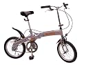 Universal E-Z Folding Single Speed 16" Unisex Cycle