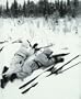Battles for Scandinavia (World War II #28)