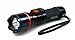 Guard Dog Security 3,900,000-Volt Stun Gun Flashlight with Concealed Inner-Stun Technology