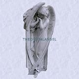 Digital angel