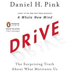 Drive: The Surprising Truth About What Motivates Us