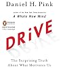 Drive: The Surprising Truth About What Motivates Us