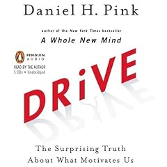 Drive: The Surprising Truth About What Motivates Us