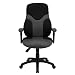 Flash Furniture High Back Ergonomic Black and Gray Mesh Task Chair with Adjustable Arms image 4