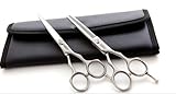 Toni & Guy Hairdressing Scissors & Thinner Set Kit + Free Case & Razor RRP £125