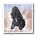 cocker_spaniel20cocker spaniel - Black Cocker Spaniel 10x10 Iron On Heat Transfer