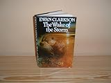 The wake of the storm