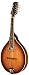 Morgan Monroe Vintage Style Mandolin
