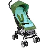 BumbleRide FT309SE FLITE Lightweight Compact Travel Stroller, Seagrass