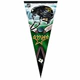 NHL Premium Quality Pennant 17-by-40 inch, Dallas Stars