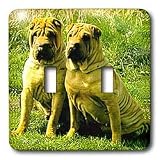 41nXhVQ3iRL. SL160  Buy Chinese SharPei Items