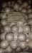 72 Pieces of Foam Balls 2