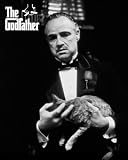 Godfather - Cat Bw by Anonymous Poster Print, 20.00 x 16.00